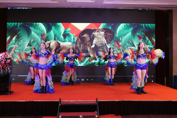济南蓝海人寿泉城嘉年华晚会